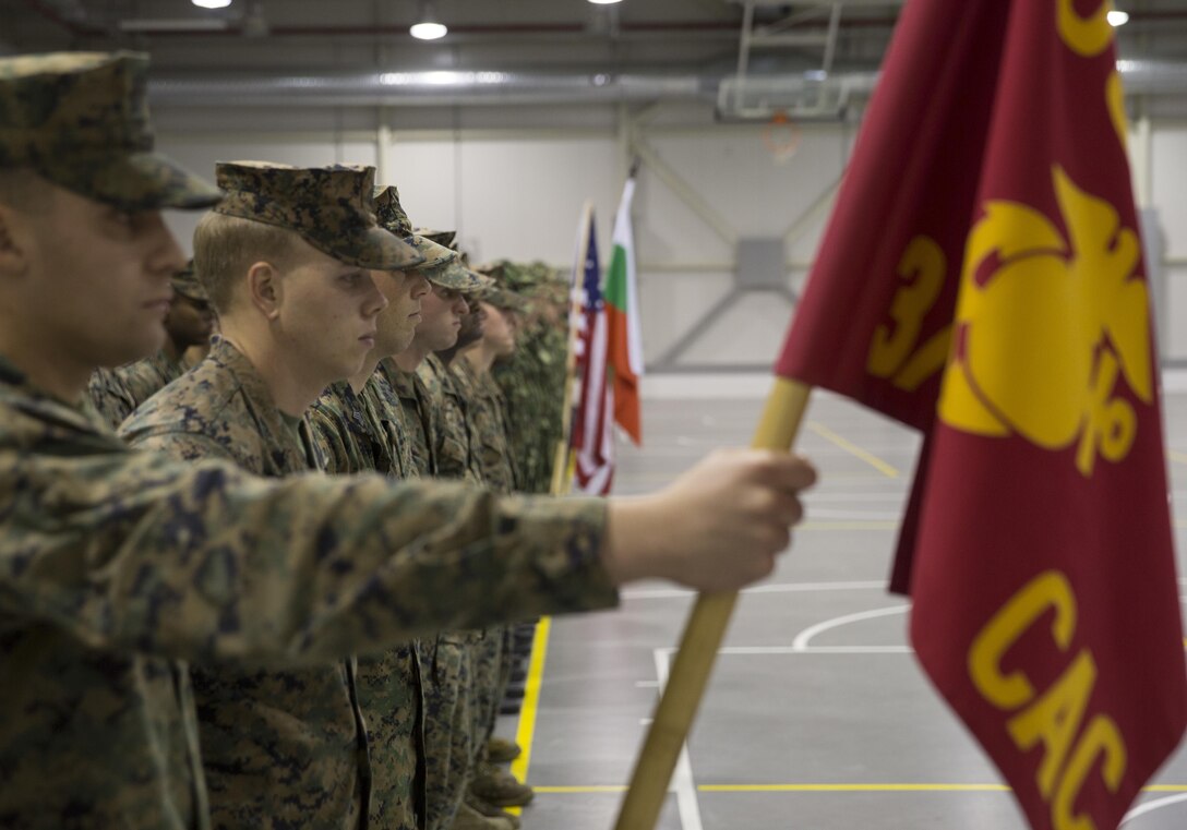 Marines with the Combined Arms Company, Black Sea Rotational Force, Bulgarian and Romanian Forces mark the beginning to Platinum Lion 16.2 on Novo Selo Training Area, Bulgaria, Jan. 7, 2016. Exercise Platinum Lion increases readiness and demonstrates our collective ability to operate as a single force committed to protecting the sovereignty of NATO allies and other European partners. (U.S. Marine Corps Photo by Cpl. Justin T. Updegraff/ Released)