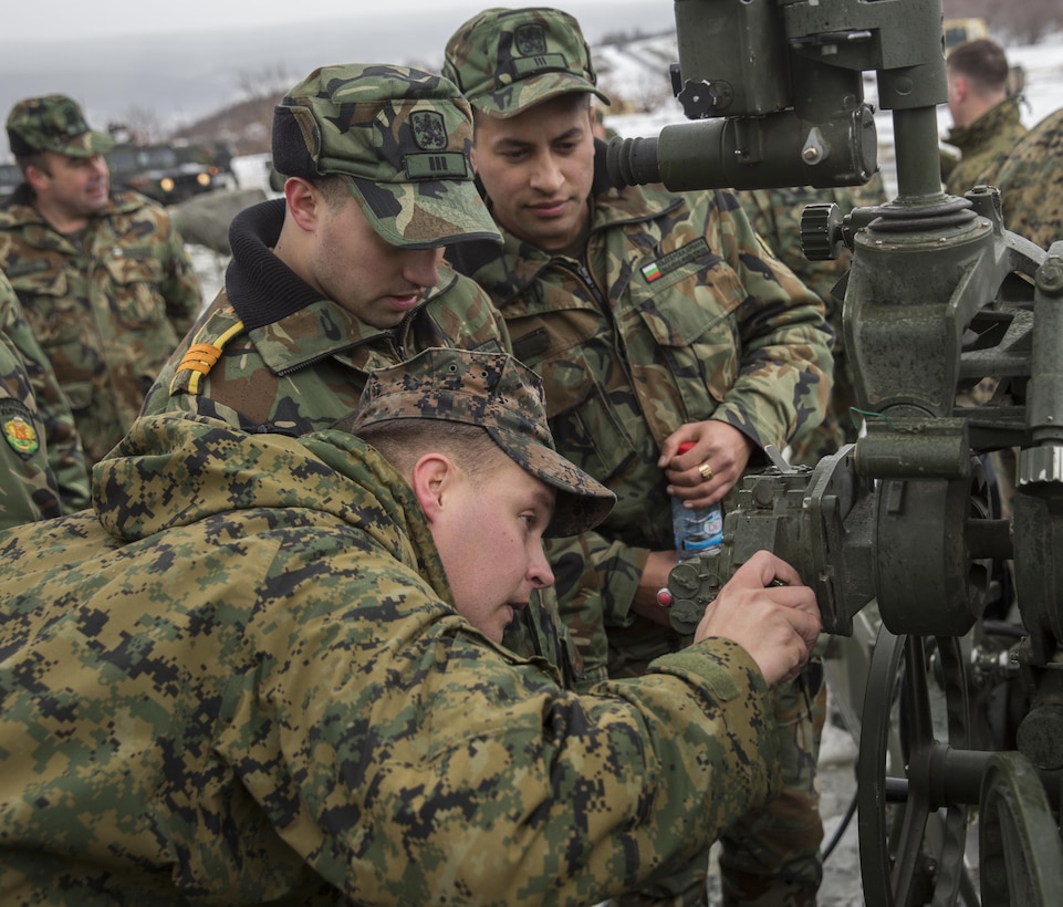 Marines with the Combined Arms Company, Black Sea Rotational Force, Bulgarian and Romanian Forces spent the afternoon getting hands on with the vehicles and weapons each country has brought to Platinum Lion 16.2 on Novo Selo Training Area, Bulgaria, Jan. 7, 2016. Platinum Lion is designed to increase collective capabilities and demonstrates our collective ability to operate as a single force committed to protecting the sovereignty of NATO allies and other European partners. (U.S. Marine Corps Photo by Cpl. Justin T. Updegraff/ Released)