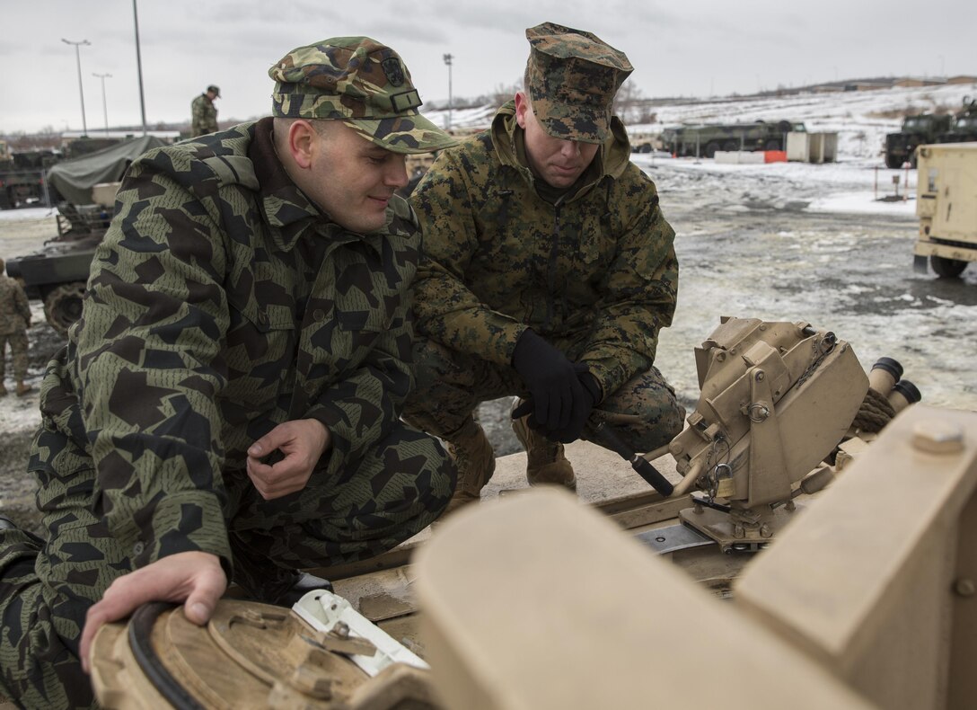 Marines with the Combined Arms Company, Black Sea Rotational Force, Bulgarian and Romanian Forces spent the afternoon getting hands on with the vehicles and weapons each country has brought to Platinum Lion 16.2 on Novo Selo Training Area, Bulgaria, Jan. 7, 2016. Platinum Lion is designed to increase collective capabilities and demonstrates our collective ability to operate as a single force committed to protecting the sovereignty of NATO allies and other European partners. (U.S. Marine Corps Photo by Cpl. Justin T. Updegraff/ Released)