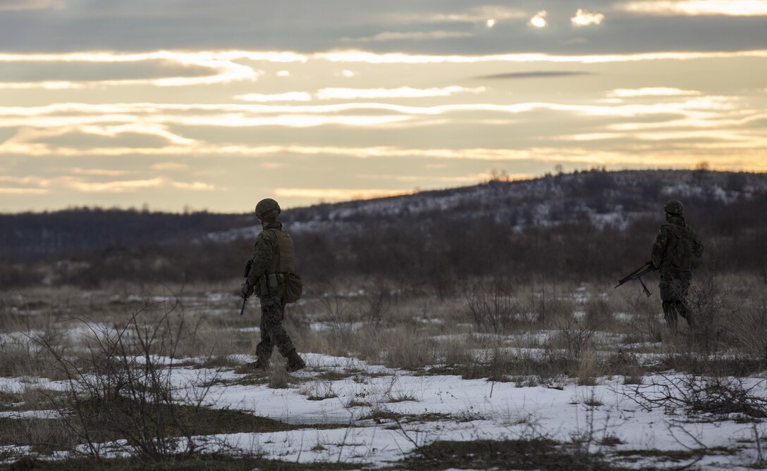Marines with the Combined Arms Company, Black Sea Rotational Force and Romanian Forces conduct patrols during Platinum Lion 16-2 at Novo Selo Training Area, Bulgaria, Jan. 8, 2016. Exercise Platinum Lion provides combined training with NATO Allies and partners, demonstrating our commitment to promoting a peaceful and stable Europe through theatre security cooperation engagements. (U.S. Marine Corps Photo by Cpl. Justin T. Updegraff/ Released)
