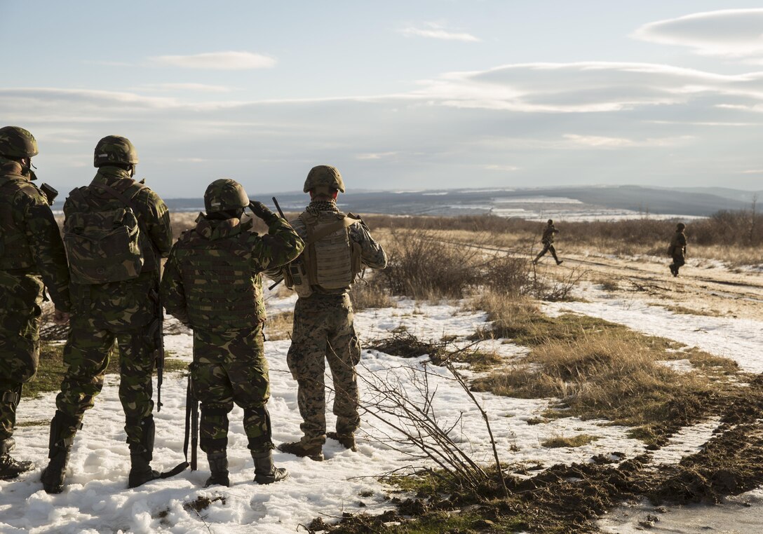 Marines with the Combined Arms Company, Black Sea Rotational Force and Romanian Forces conduct patrols during Platinum Lion 16-2 at Novo Selo Training Area, Bulgaria, Jan. 8, 2016. Exercise Platinum Lion provides combined training with NATO Allies and partners, demonstrating our commitment to promoting a peaceful and stable Europe through theatre security cooperation engagements. (U.S. Marine Corps Photo by Cpl. Justin T. Updegraff/ Released)
