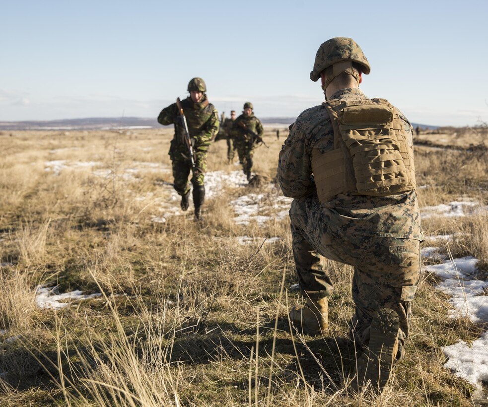 Marines with the Combined Arms Company, Black Sea Rotational Force and Romanian Forces rehearse an Anti-Personnel Obstacle Breaching System breach during Platinum Lion 16-2 at Novo Selo Training Area, Bulgaria, Jan. 8, 2016. An APOBS breach is used to clear a foot path through a wire, or mine field, obstacle for personnel. Exercise Platinum Lion provides combined training with NATO Allies and partners, demonstrating our commitment to promoting a peaceful and stable Europe through theatre security cooperation engagements. (U.S. Marine Corps Photo by Cpl. Justin T. Updegraff/ Released)