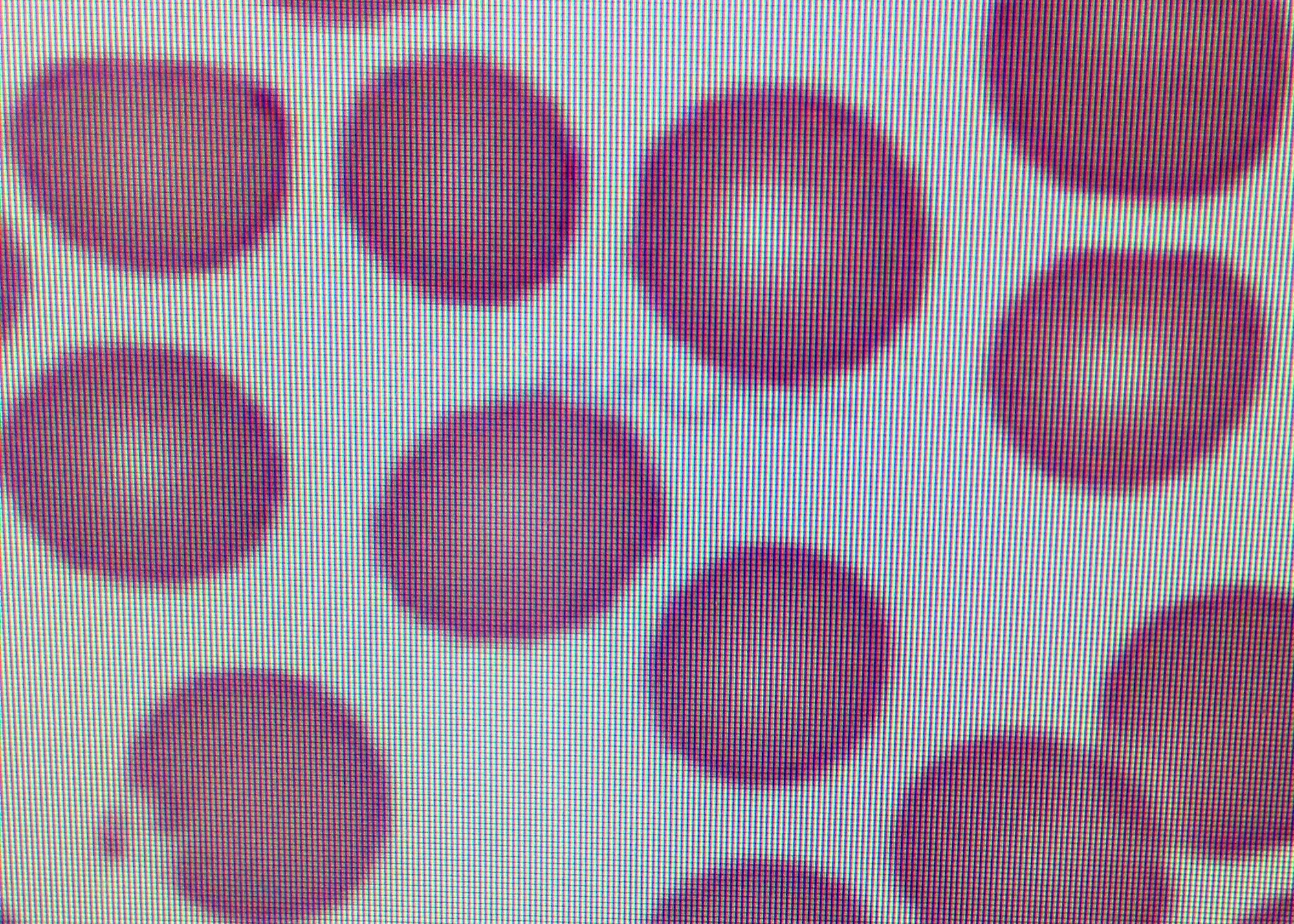 The 96th Medical Group’s laboratory provided the first-ever human-blood sample of a spirochete bacteria, borrelia turicatae, known to cause tick-borne relapsing fever to be cultured at the Centers for Disease Control.  (Courtesy photo) 