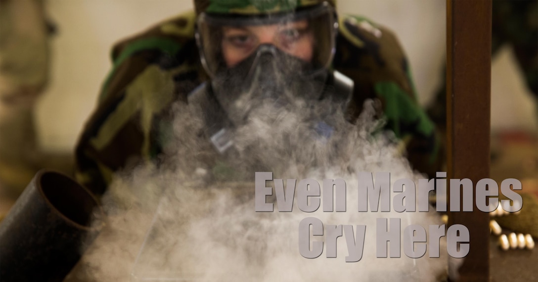 Lance Cpl. Jamie Roper, a chemical, biological, radiological, and nuclear Marine with Headquarters Company, 2nd Marine Logistics Group, disperses chlorobenzylidene malononitrile, or CS gas, in preparation for gas chamber bi-annual qualification at Camp Lejeune, N.C., Jan.8. The chamber is a routine exercise to ensure the durability of each Marine's gear while exposed to CS gas. (U.S. Marine Corps photo illustration by Lance Cpl. Preston McDonald/Released)