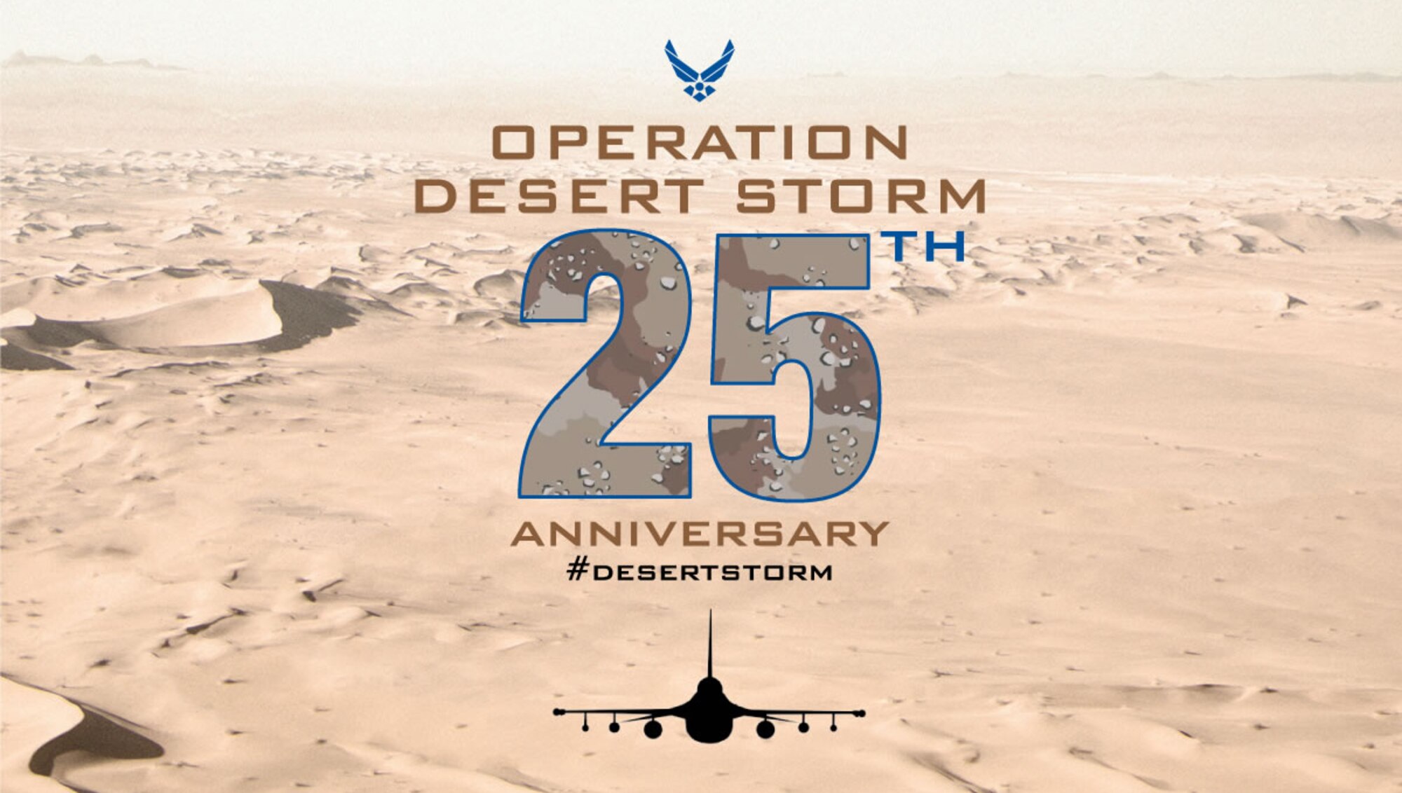 25th anniversary of Operation Desert Storm