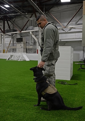 Staff Sgt. Michael Gwin, a 28th Security Forces Squadron military working dog handler, pets Sjors during a training session at the new indoor MWD training facility at Ellsworth Air Force Base, S.D., Dec. 30, 2015. The new building allows year-round training, regardless of weather conditions. (U.S. Air Force photo/Airman 1st Class James L. Miller)