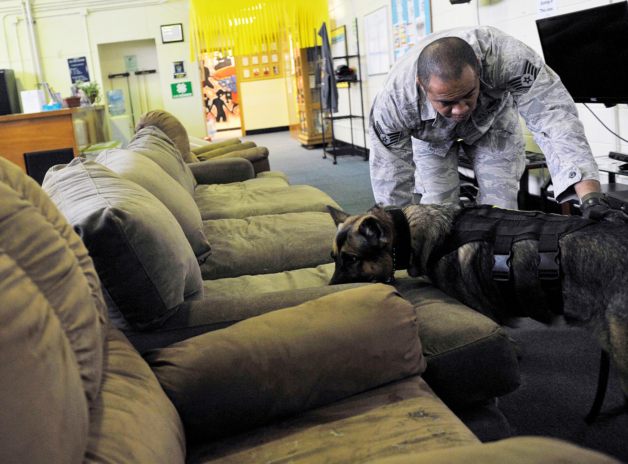 U.S. Air Force Staff Sgt. James Tullis, 18th Security Forces Squadron military working dog handler, and his MWD, Aly, search a couch during K-9 detection training at the Kadena Youth Center, Jan. 13, 2016, at Kadena Air Base, Japan. The handler signals the MWD to sniff in specific areas using hand movements. (U.S. Air Force photo by Naoto Anazawa)