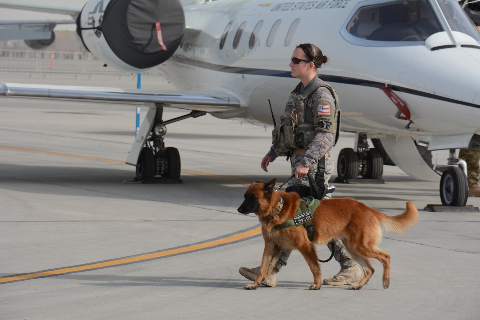 Staff Sgt. Taylor Song, 379th Expeditionary Security Forces Squadron military working dog handler, conducts a security check at the annual Flight Line Fest at Al Udeid Air Base, Qatar, Jan. 10. The event is held to foster relations between Qatar and the United States and featured nine aircraft and an emergency vehicle display. (U.S. Air Force photo by Tech. Sgt. James Hodgman/Released)