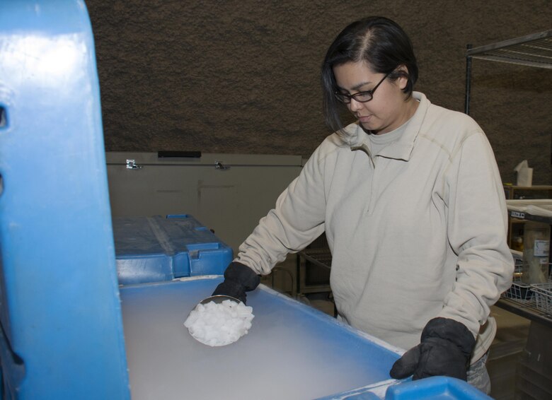 Capt. Jennifer Swann, the 379th Expeditionary Medical Group Blood Transshipment Center officer in charge, scoops out dry ice from a freezer inside the Blood Transshipment Center at Al Udeid Air Base, Qatar, Jan. 13, 2016. Dry ice is needed to keep blood cool throughout the shipping process. The facility can house more than 4,000 pounds of dry ice. The center shipped nearly 23,000 units of blood to more than 30 forward operating locations in the U.S. Central Command area of responsibility in 2015. (U.S. Air Force photo/Tech. Sgt. James Hodgman)