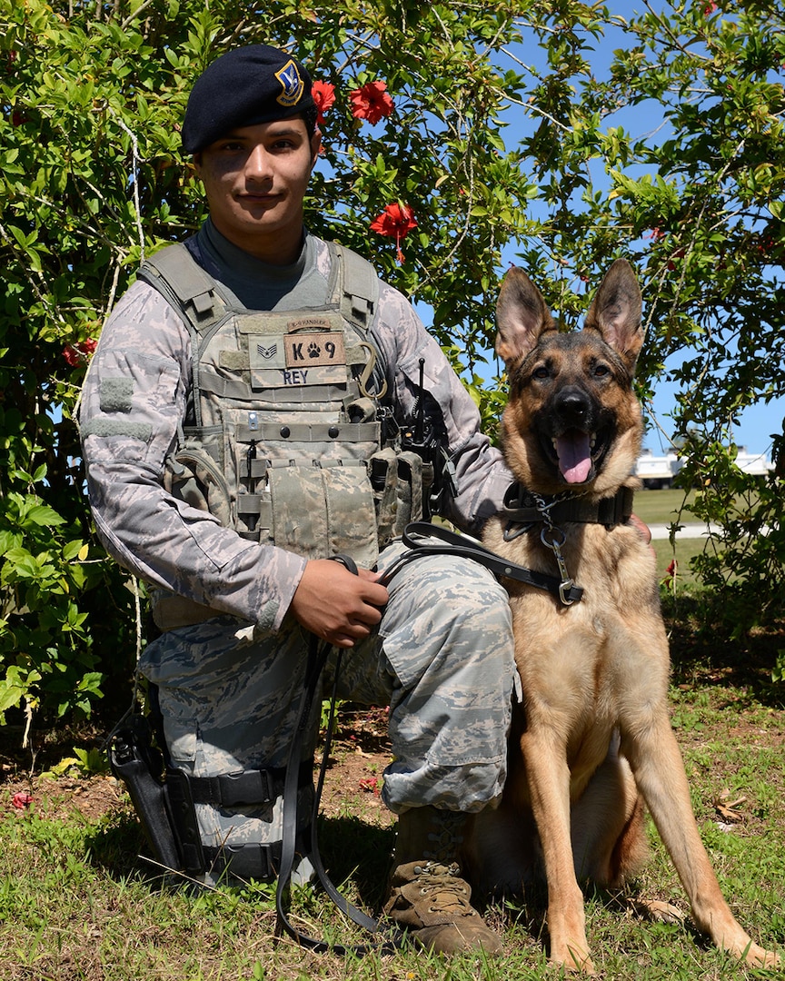 Staff Sgt. Mario Rey, 36th Security Forces Squadron military working dog handler, kneels with his partner Gezu Jan. 14, 2016, at Andersen Air Force Base, Guam. Rey and Gezu were among the team members that recently responded to an incident that occurred off-base at a local high school, which involved authorities from the community as well as the K-9 unit and Explosive Ordnance Disposal flight from Andersen. 