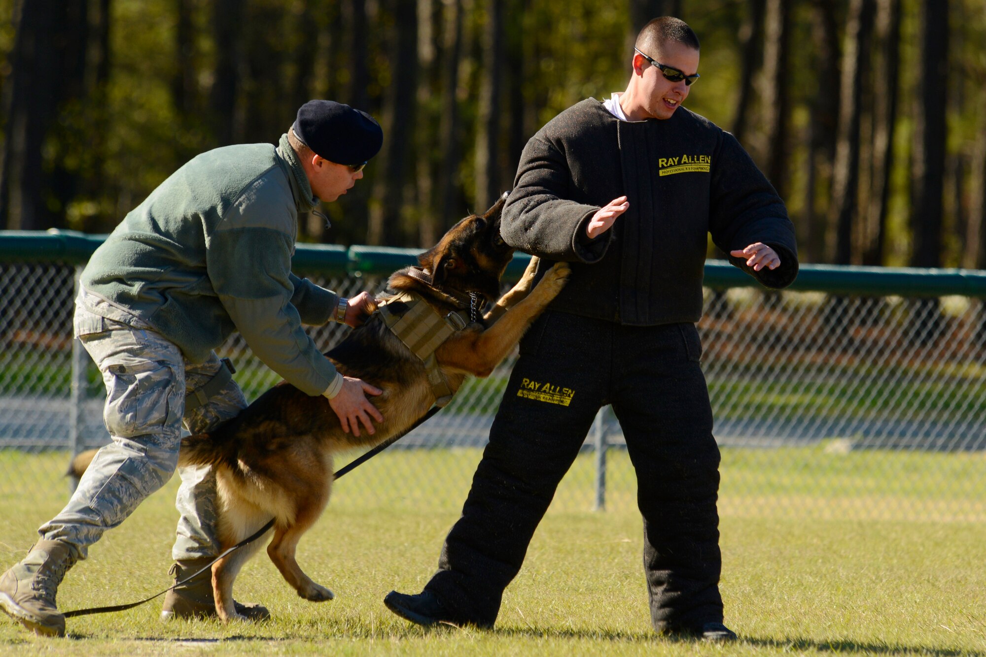 U.S. Air Force Staff Sgt. Robert Coughlin, 20th Security Forces Squadron canine handler, and military working dog Marky apprehend a “suspect” during a training exercise at a softball field on Shaw Air Force Base, S.C., Jan. 12, 2016. MWD Marky holds a “lockjaw” bite on its target until given the command to release from its handler. MWDs continuously train to ensure they are ready to respond when given the command. (U.S. Air Force photo by Airman 1st Class Christopher Maldonado)