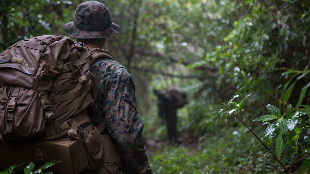 A Marine watches and waits for a signal from the point man as they search for the enemy during a three-day field training exercise Jan. 7, 2016, on Camp Hansen in Okinawa, Japan. The training tested the ability of Marines with Alpha Company, Battalion Landing Team 1st Battalion, 5th Marines, 31st Marine Expeditionary Unit, to locate, close and destroy the enemy while navigating through jungle terrain. 