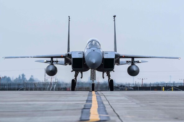 Col. John York, the 144th Operations Group commander, taxies in an F-15C Eagle during his fini flight with the 144th Fighter Wing at Fresno Air National Guard Base, Calif., Jan. 8, 2016. (U.S. Air National Guard photo/Senior Airman Klynne Pearl Serrano)