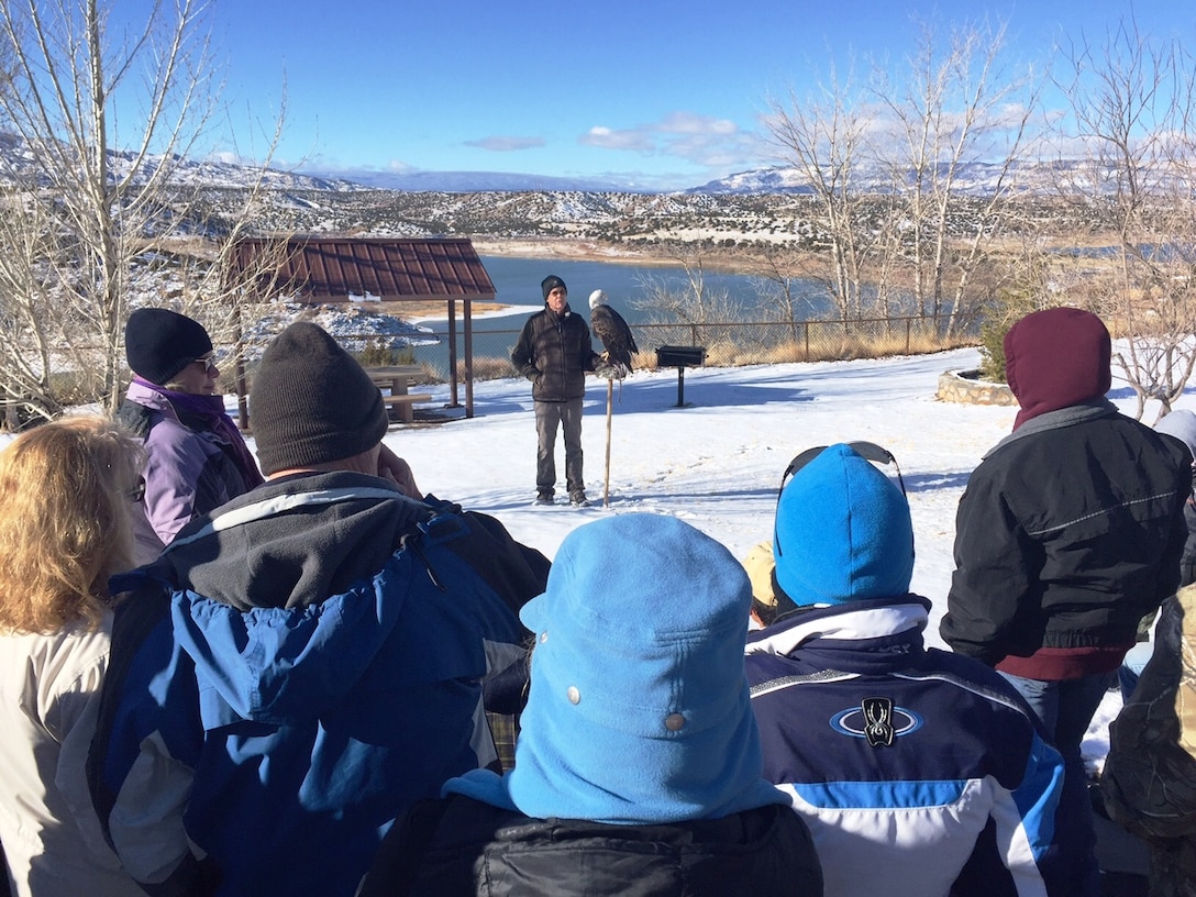 ABIQUIU LAKE, N.M. -- Scott Bol, volunteer with the New Mexico Wildlife Center, displays the center’s captive non-releasable bald eagle to volunteers before they begin counting wild eagles around the lake, Jan. 9, 2016.  