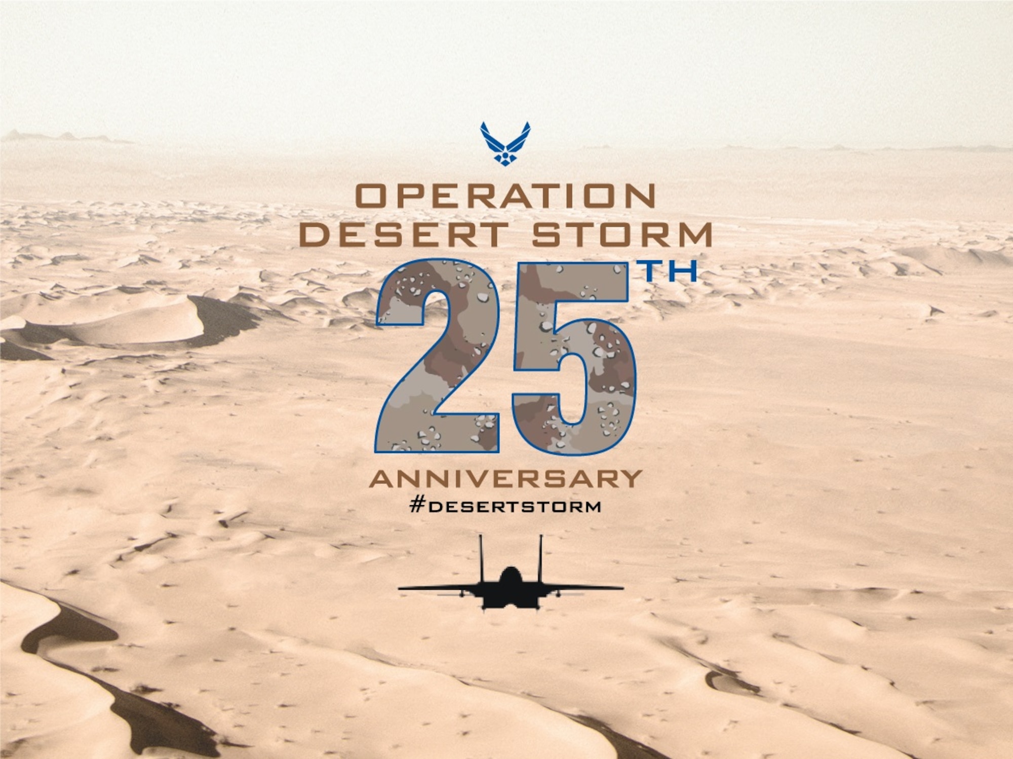 Operation DESERT STORM began the evening of January 17, 1991. Airmen and F-15E Strike Eagle aircraft from the 335th and 336th Fighter Squadrons deployed to defeat Saddam Hussein's forces. (U.S. Air Force graphic)