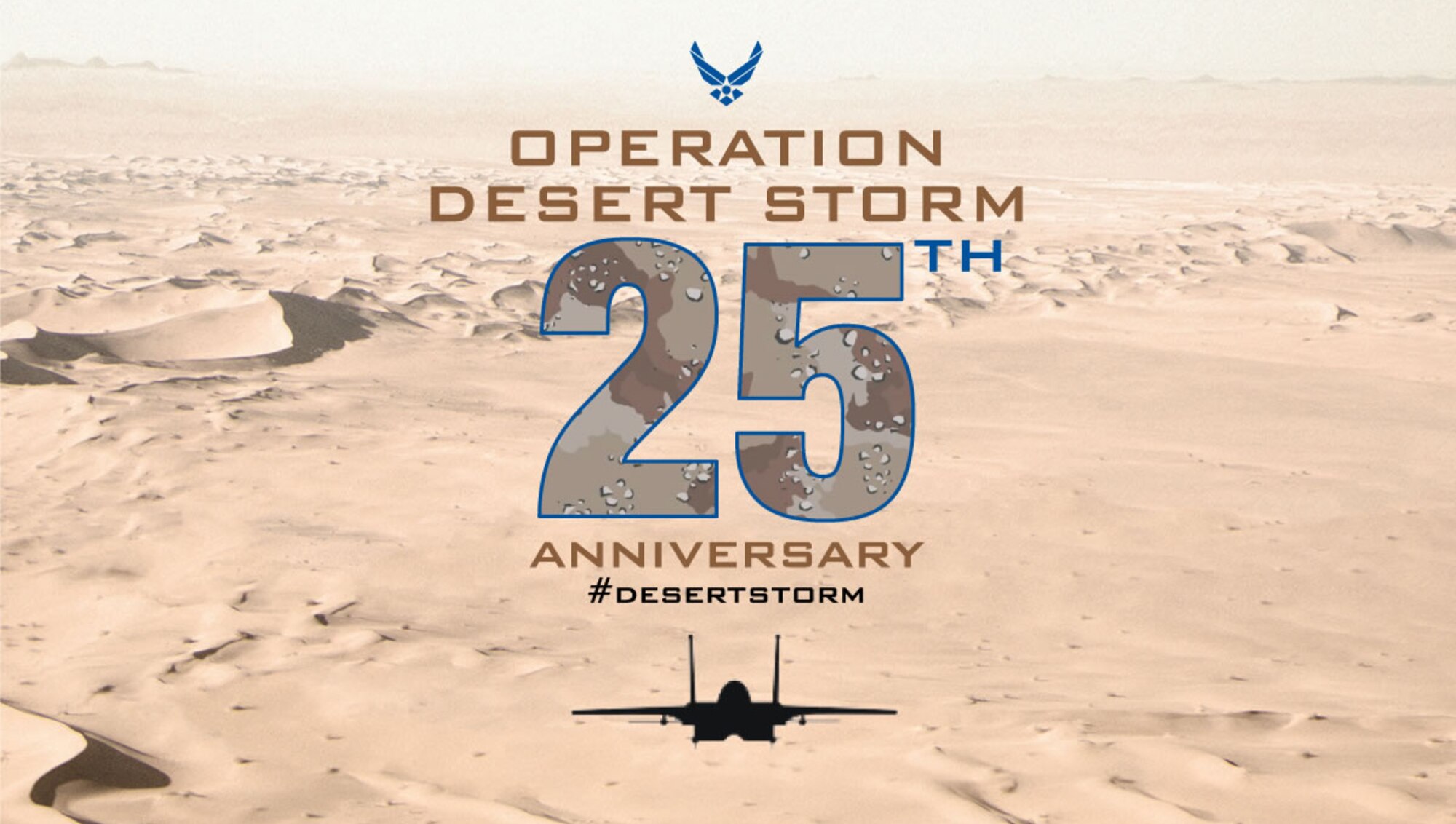 25th anniversary graphic commemorating Operation Desert Storm