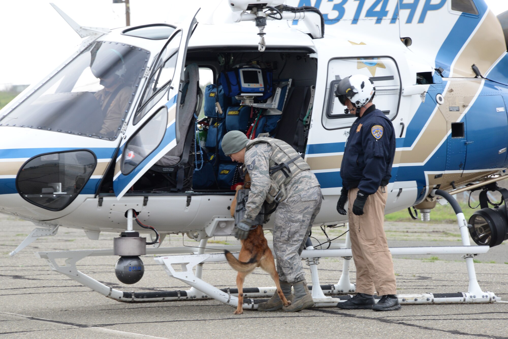 Beni, 60th SFS MWD, loads into a CHP helicopter Jan. 11 at Travis Air Force Base, California. Staff Sgt. Rachael Brunner, 60th SFS MWD handler, assists Beni and demonstrates the proper way to enter a helicopter. (U.S. Air Force photo by Airman 1st Class Amber Carter)