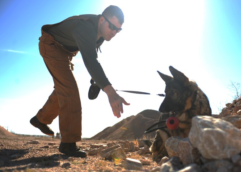 Staff Sgt. Brandon Potts, 28th Security Forces Squadron military working dog handler, throws a toy to Tali, 28th SFS MWD, during a training exercise at Ellsworth Air Force Base, S.D., Oct. 15, 2015. The Ellsworth Veterinary Treatment Facility’s mission is to provide annual examinations and vaccinations to ensure the MWDs are fit to do their duty every day. (U.S. Air Force photo by Airman Sadie Colbert/Released)