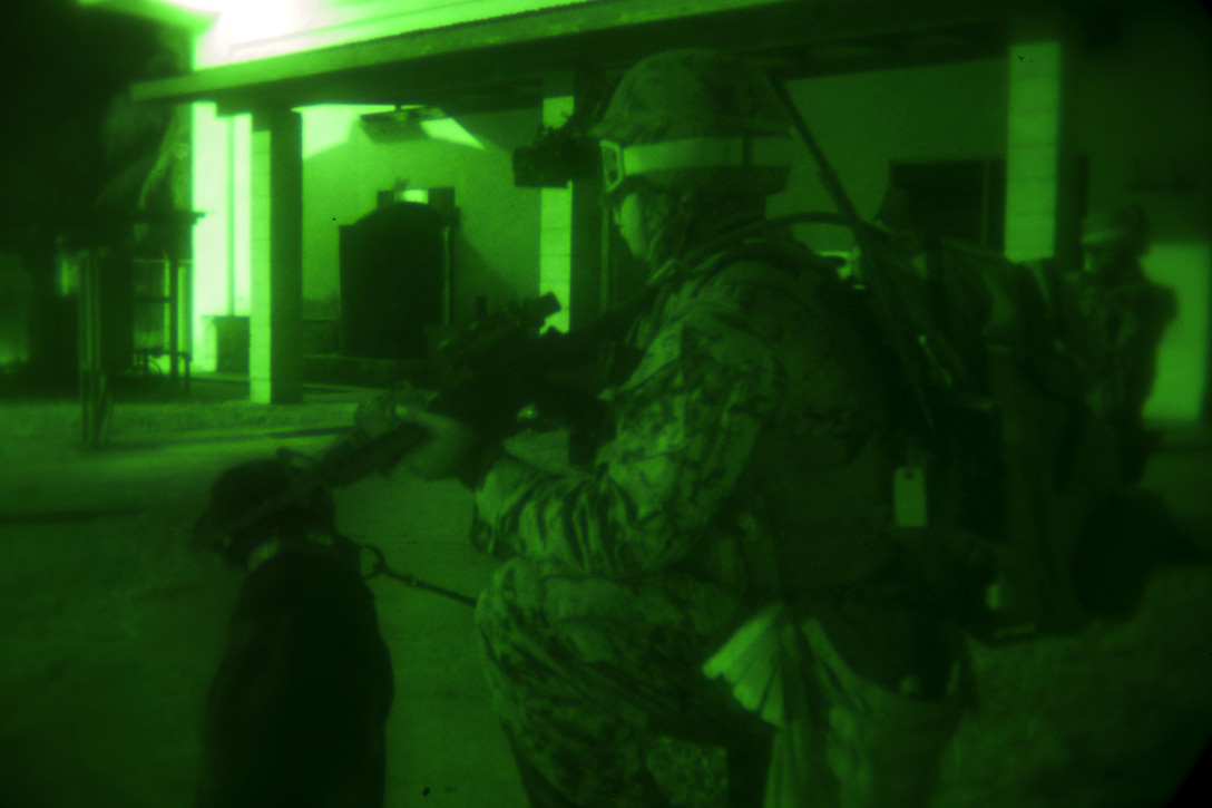 As seen through a night-vision device, Marine Corps Cpl. David Hernandez and Ella, a military working dog, provide security outside a house while his team prepares for their extraction during an urban training exercise on Guam, Jan. 13, 2016. Hernandez, a dog handler, and Ella, a specialized search dog, are assigned to Maritime Raid Force, 31st Marine Expeditionary Unit. U.S. Marine Corps Photo by Cpl. Thor J. Larson