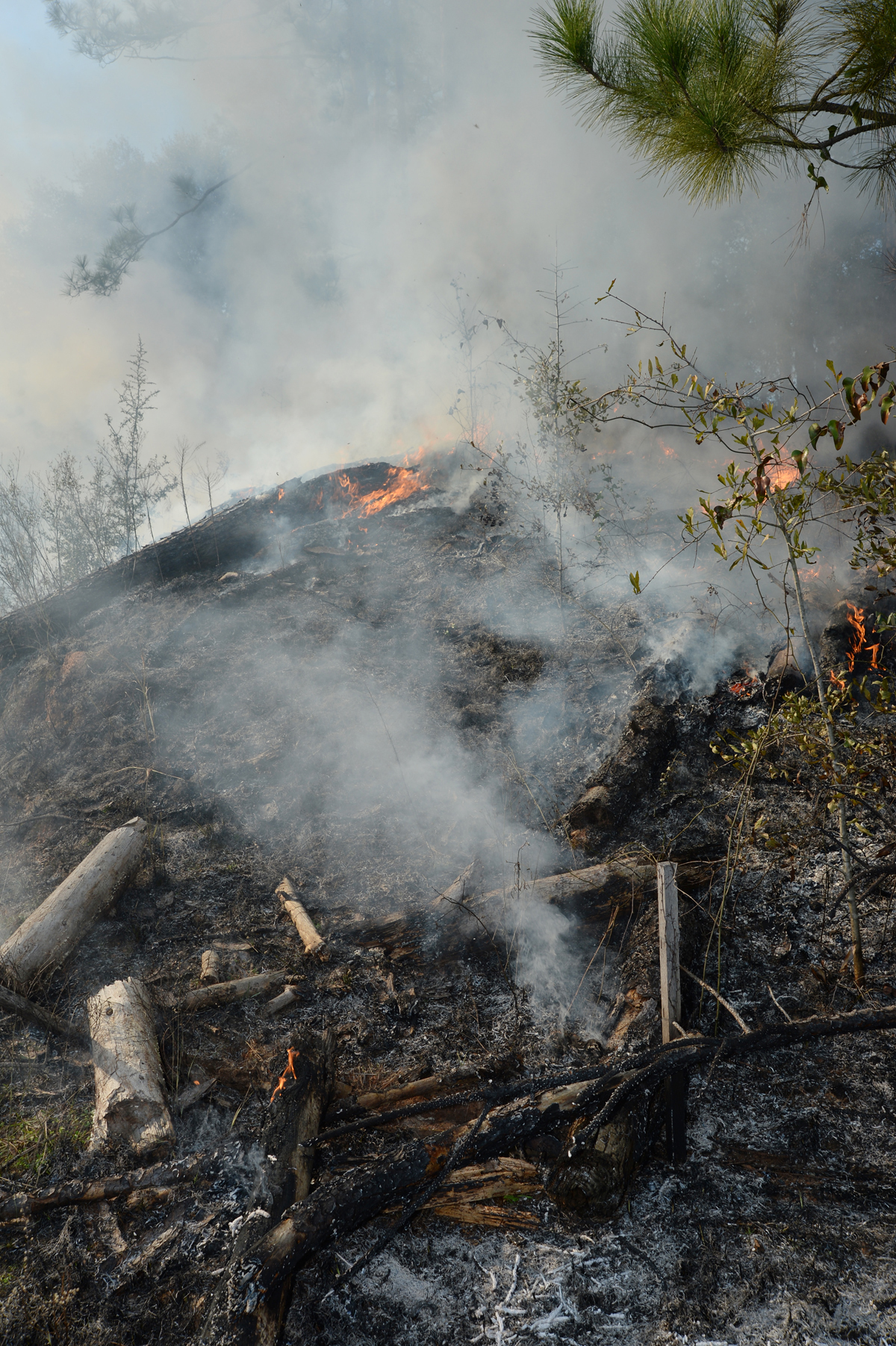 Forestry debris smolders as the fire line advances during Marine Corps Logistics Base Albany annual prescribed burning of base timber, Jan 11.