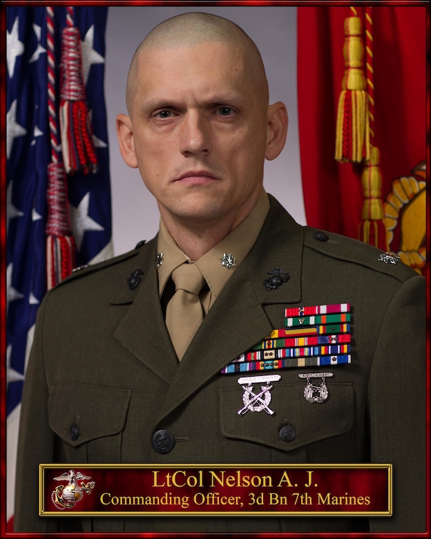 Lieutenant Colonel Nelson > 1st Marine Division > Biography