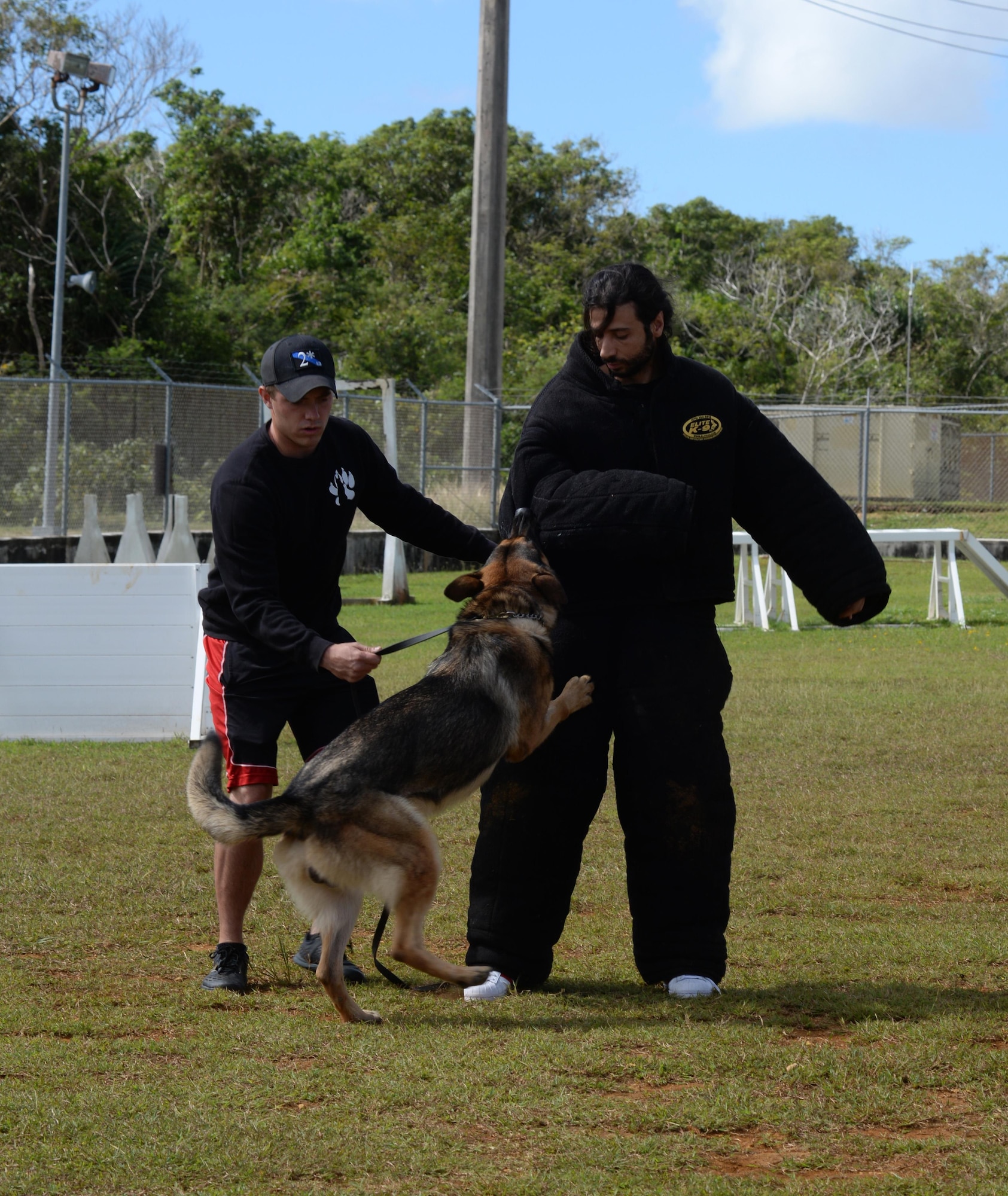 Nasri, the lead singer from the Canadian reggae fusion band Magic!, engages with a military working dog during a K-9 demonstration Jan. 14, 2016, at Andersen Air Force Base, Guam. Members from the band toured Andersen AFB which included visiting the flightline, interacting with the 23rd Expeditionary Bomb Squadron and participating in training with military working dogs. (U.S. Air Force photo/Staff Sgt. Katrina Brisbin)