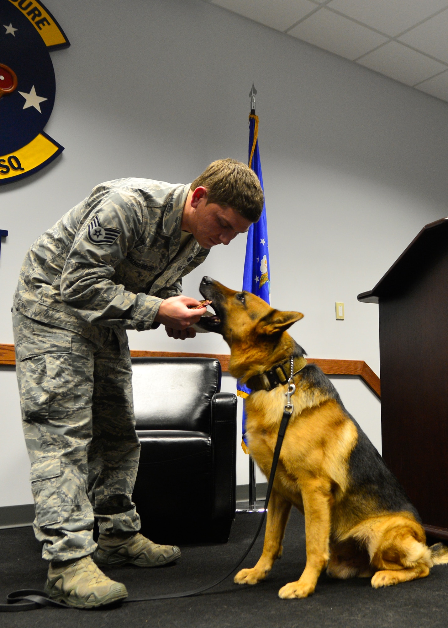 Staff Sgt. Jason Spangenberg, 436th Security Forces Squadron military working dog trainer, gives MWD Rico/M137 a steak during his retirement ceremony Jan. 15, 2016, at Dover Air Force Base, Del. Rico served for seven years and eight months and is being adopted by his former handler, Spangenberg. (U.S. Air Force photo/Senior Airman William Johnson)