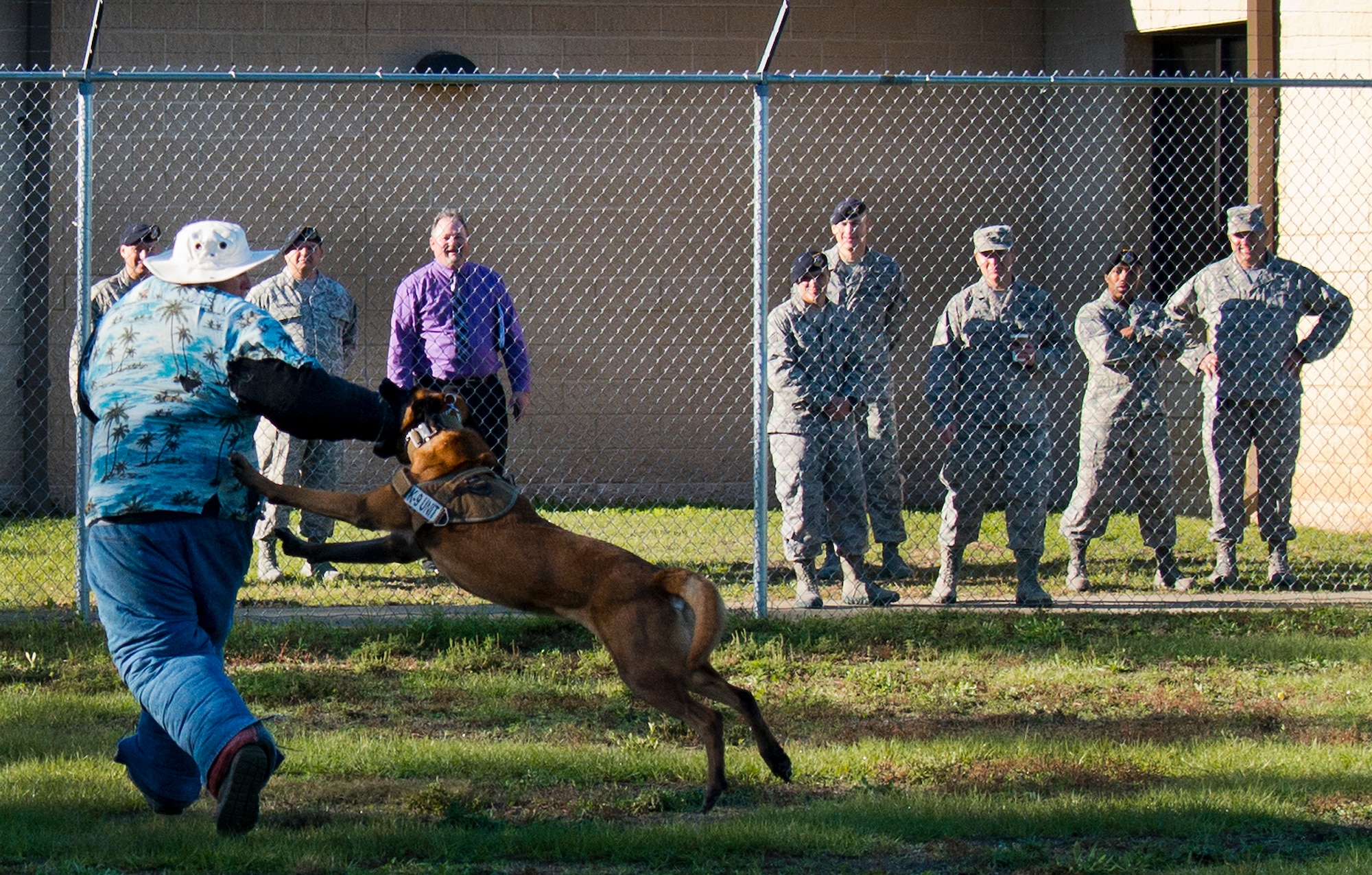 Arko attacks a simulated assailant during a 96th Security Forces Squadron K-9 demonstration for the Commander-In-Chief’s Installation Excellence Award evaluation team Jan. 15 at Eglin Air Force Base, Fla.  The team visited many of the base’s support units and areas on the second and final day of their tour.  (U.S. Air Force photo/Samuel King Jr.)