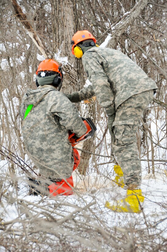 Soldiers with the 770th Engineer Company, 479th Engineer Battalion, 411th Engineer Brigade, 412th Theater Engineer Command, are working to clear land in Mattydale, N.Y., which will become home to a new Army Reserve Center.