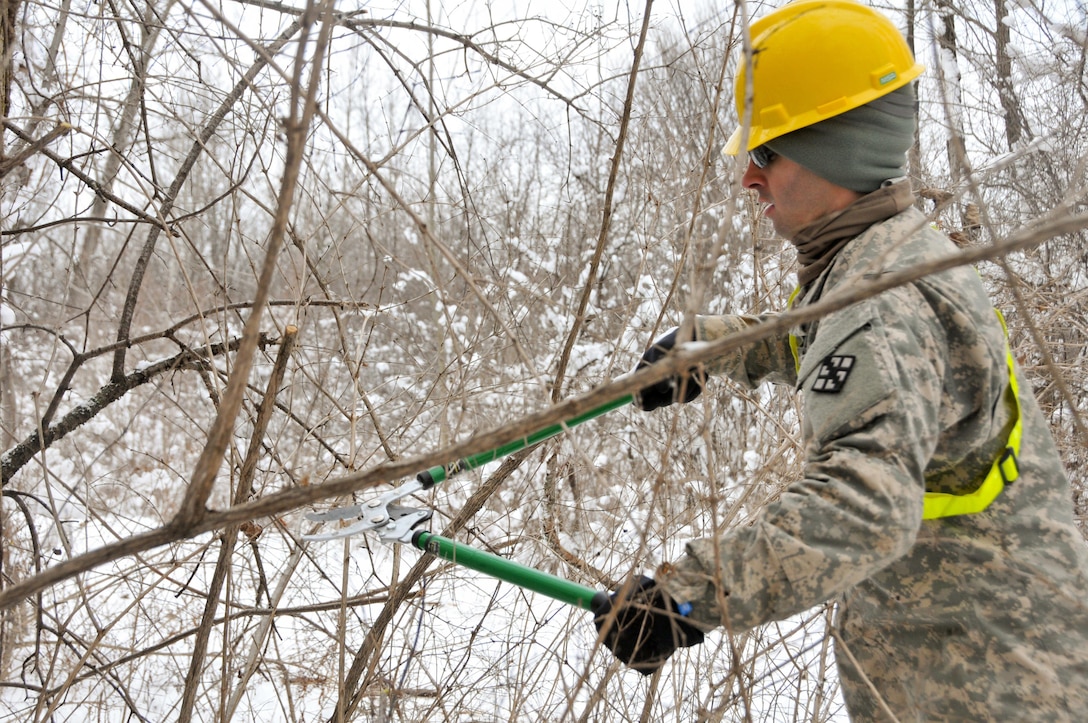 Soldiers with the 770th Engineer Company, 479th Engineer Battalion, 411th Engineer Brigade, 412th Theater Engineer Command, are working to clear land in Mattydale, N.Y., which will become home to a new Army Reserve Center.