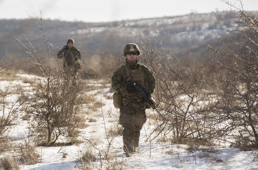 U.S. Marines and Romanian forces conduct patrols during Platinum Lion 16-2 at Novo Selo Training Area, Bulgaria, Jan. 8, 2016. U.S. Marine Corps photo by Cpl. Justin T. Updegraff