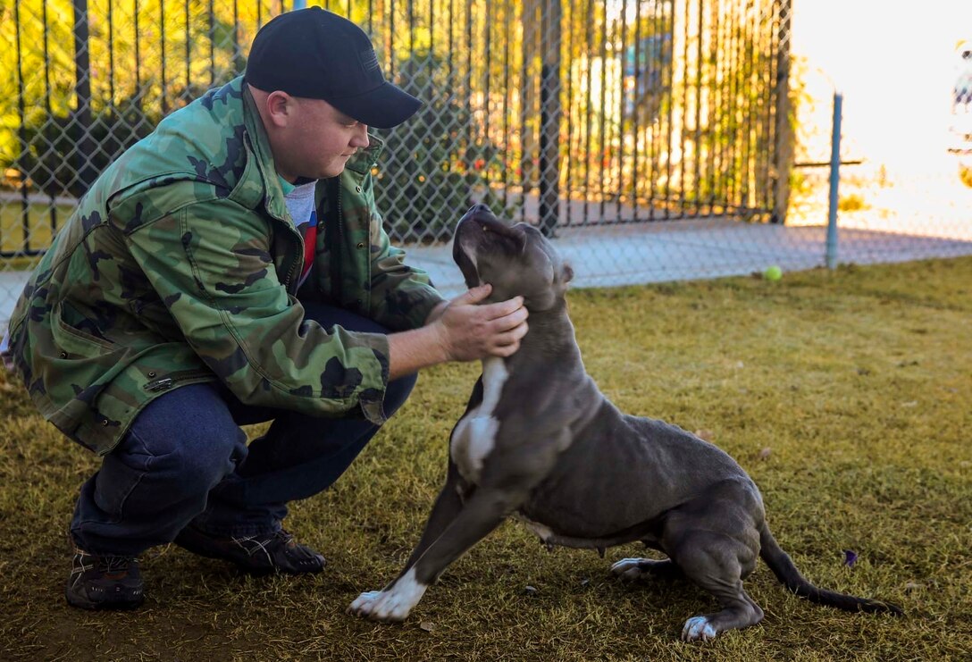 Volunteers with the Single Marine Program, stationed at Marine Corps Air Station Yuma, Ariz., walk and care for animals at the Humane Society of Yuma, Wednesday, Dec. 16, 2015.