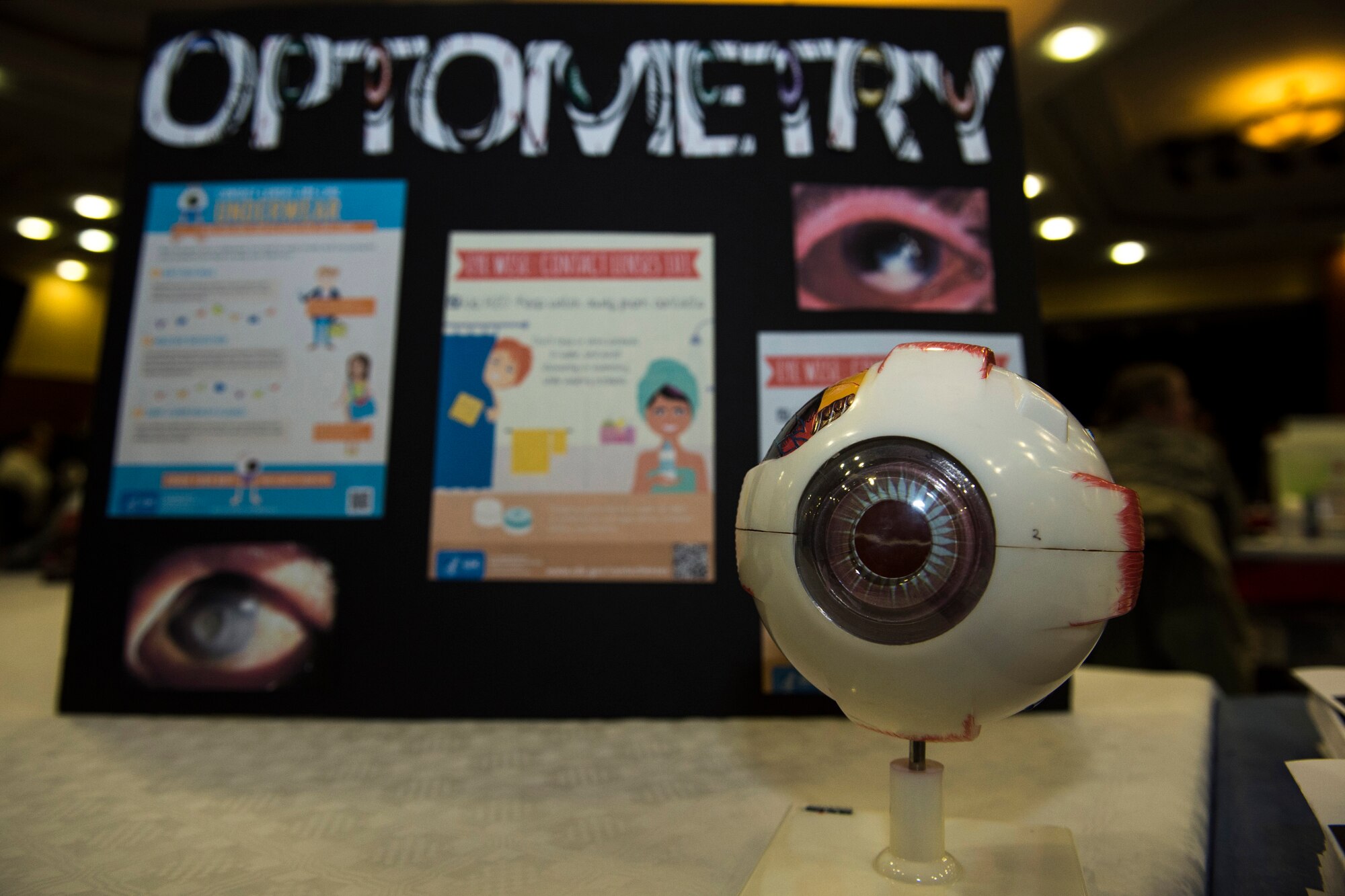 A model eye is on display in front of an optometry information board at the Health Celebration in the Club Eifel Ballroom on Spangdahlem Air Base, Germany, Jan. 21, 2016. The celebration included free health screenings, fitness demonstrations, driving safety, a scavenger hunt and massages from local massage therapists. (U.S. Air Force photo by Airman 1st Class Luke Kitterman/Released)