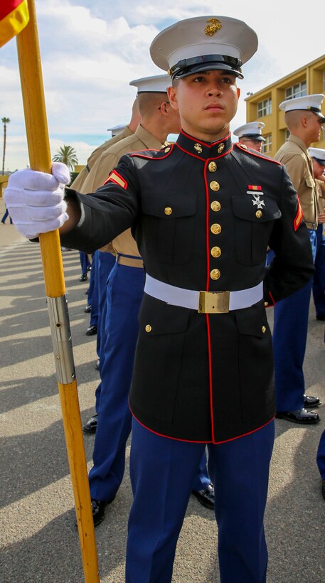 Private First Class Garret M. Ryan, Platoon 1043, Charlie Company, 1st Recruit Training Battalion, stands at parade rest prior to graduation at Marine Corps Recruit Depot San Diego, Jan. 22. Ryan is a Plainfield, Ill., native and was recruited out of Recruiting Station Chicago. Annually, more than 17,000 males recruited from the Western Recruiting Region are trained at MCRD San Diego.