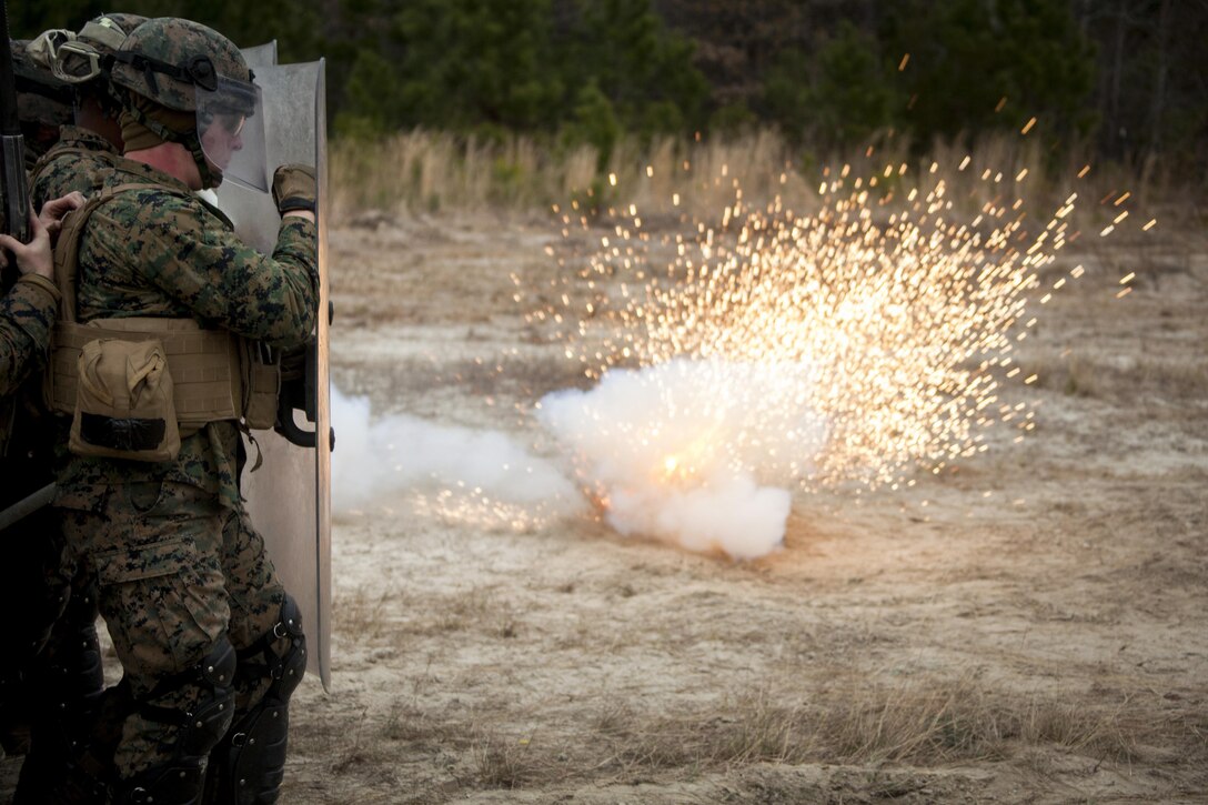 Marines with Battalion Landing Team 1st Battalion, 6th Marine Regiment, 22nd Marine Expeditionary Unit, were hit by random objects such as batons and flash bangs during a non-lethal weapons course at Camp Lejeune, N.C., Jan. 22, 2016. The Marines participated in the course to ensure mission readiness and to improve their ability to maintain control during a riot. (U.S. Marine Corps photo by Cpl. Chris Garcia/Released)