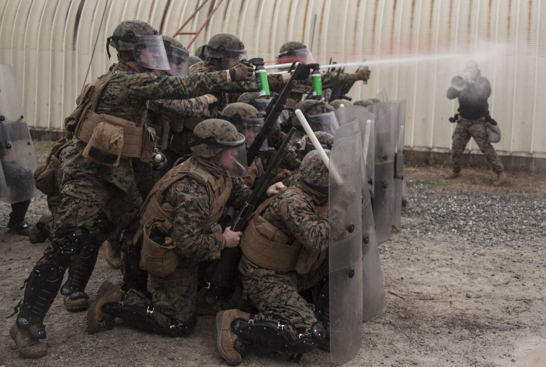 Marines with Battalion Landing Team 1st Battalion, 6th Marine Regiment, 22nd Marine Expeditionary Unit, use Oleoresin Capsicum spray to deter role players during a non-lethal weapons course at Marine Corps Base Camp Lejeune, North Carolina, Jan. 22, 2016. The Marines participated in the course to ensure mission readiness and to improve their ability to maintain control during a riot.