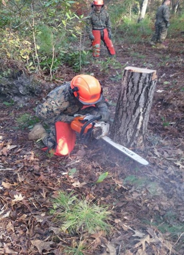 Private First Class Logan J. Hakes, a Marine attached to Basic Combat Engineer course 6-16 (BCE 6-16); conducts a practical application using a chainsaw to cut a stump during the fell standing timber class at Marine Corps Engineer School, Camp Lejeune, N.C.


