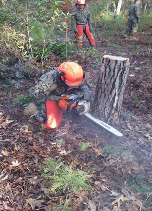 Private First Class Logan J. Hakes, a Marine attached to Basic Combat Engineer course 6-16 (BCE 6-16); conducts a practical application using a chainsaw to cut a stump during the fell standing timber class at Marine Corps Engineer School, Camp Lejeune, N.C.


