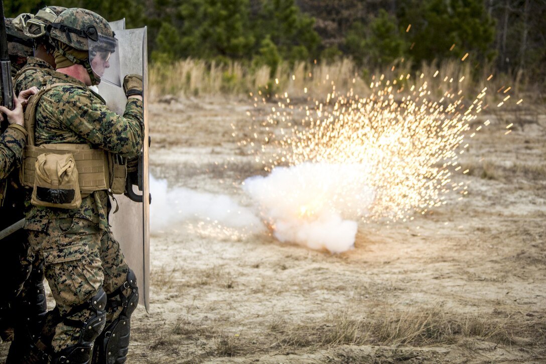 Marines face a flash bang during a nonlethal weapons course on Marine Corps Base Camp Lejeune, N.C., Jan. 22, 2016. The Marines are assigned to 1st Battalion Landing Team, 6th Marine Regiment, 22nd Marine Expeditionary Unit. They participated in the course to ensure mission readiness and improve their ability to maintain control during a riot. Marine Corps photo by Cpl. Chris Garcia