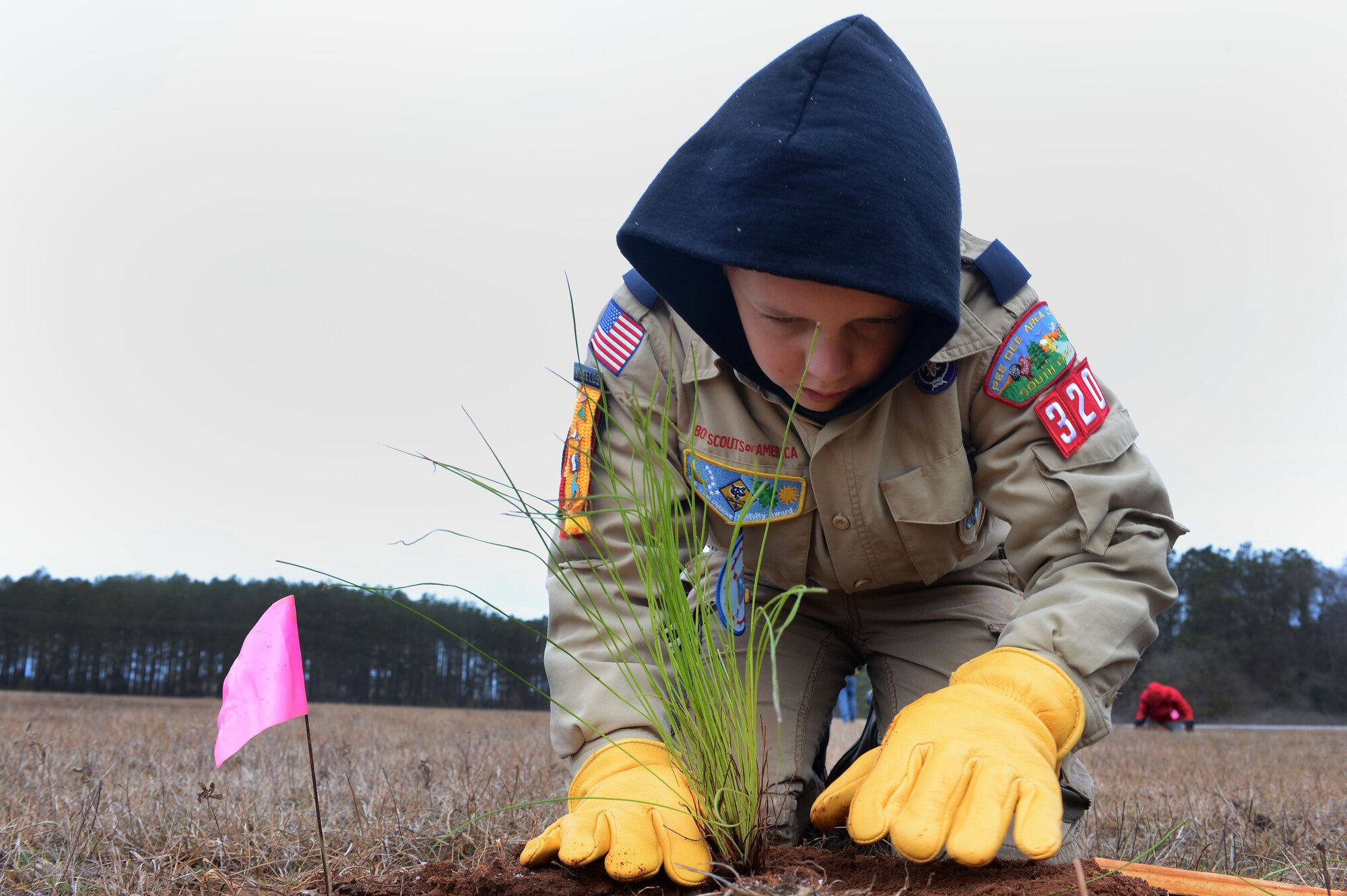 Garrett Oakden, son of U.S. Air Force Col. Neil Oakden, U.S. Air Forces Central Command A5 director, plants a longleaf pine sapling at Shaw Air Force Base, S.C., Jan. 23, 2016. Longleaf pine trees are native to South Carolina and provide a habitat for over 30 endangered and threatened species including red-cockaded woodpeckers and indigo snakes. (U.S. Air Force photo by Senior Airman Zade Vadnais)