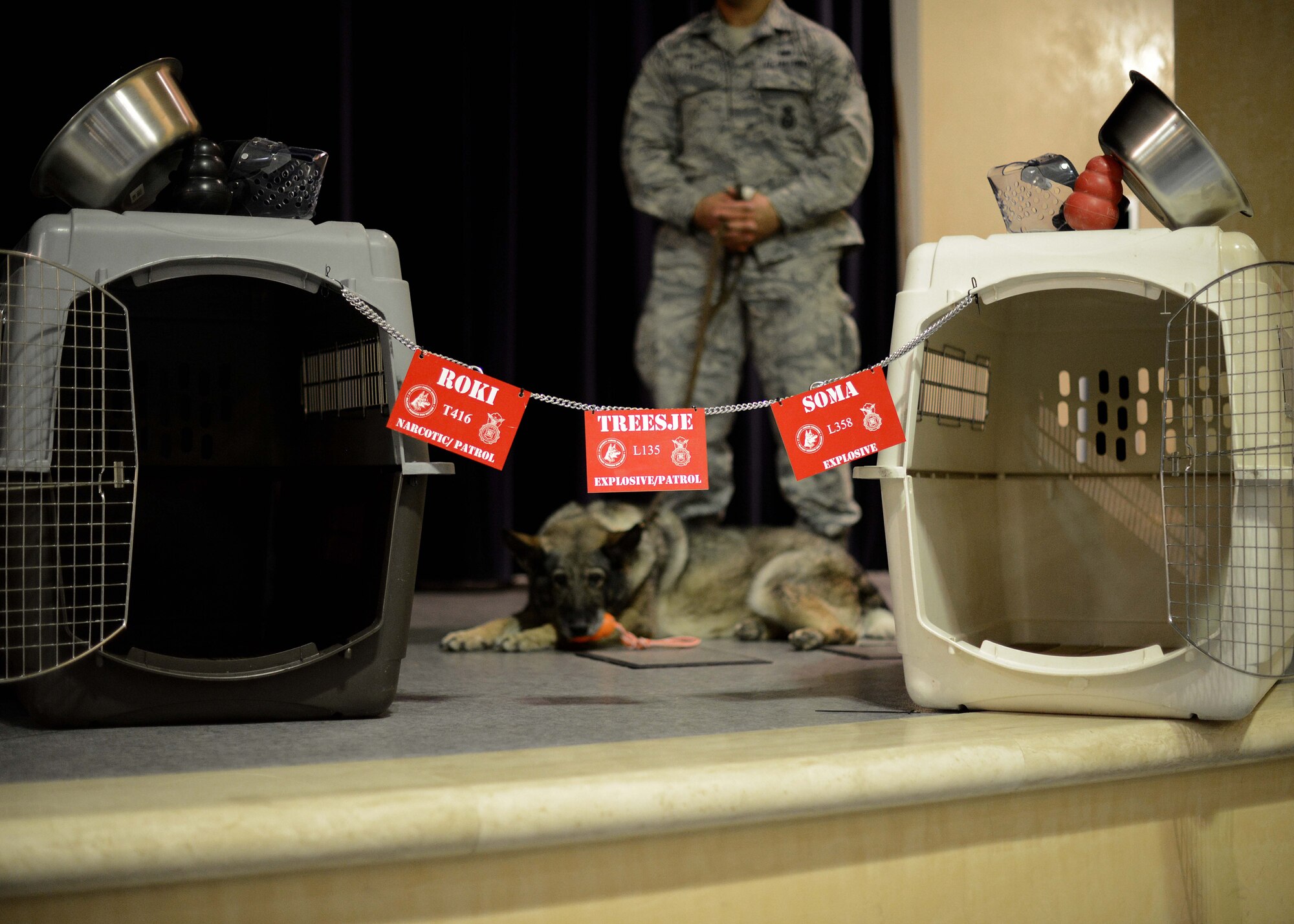 Soma, 31st Security Forces Squadron military working dog, relaxes during his MWD retirement ceremony Jan. 22, 2016, at Aviano Air Base, Italy.  Soma, Treesje and Roki retired from service, received a certificate and were adopted into a new family. Department of Defense MWD’s are trained at Lackland Air Force Base in San Antonio, Texas. (U.S. Air Force by Staff Sgt. Evelyn Chavez)