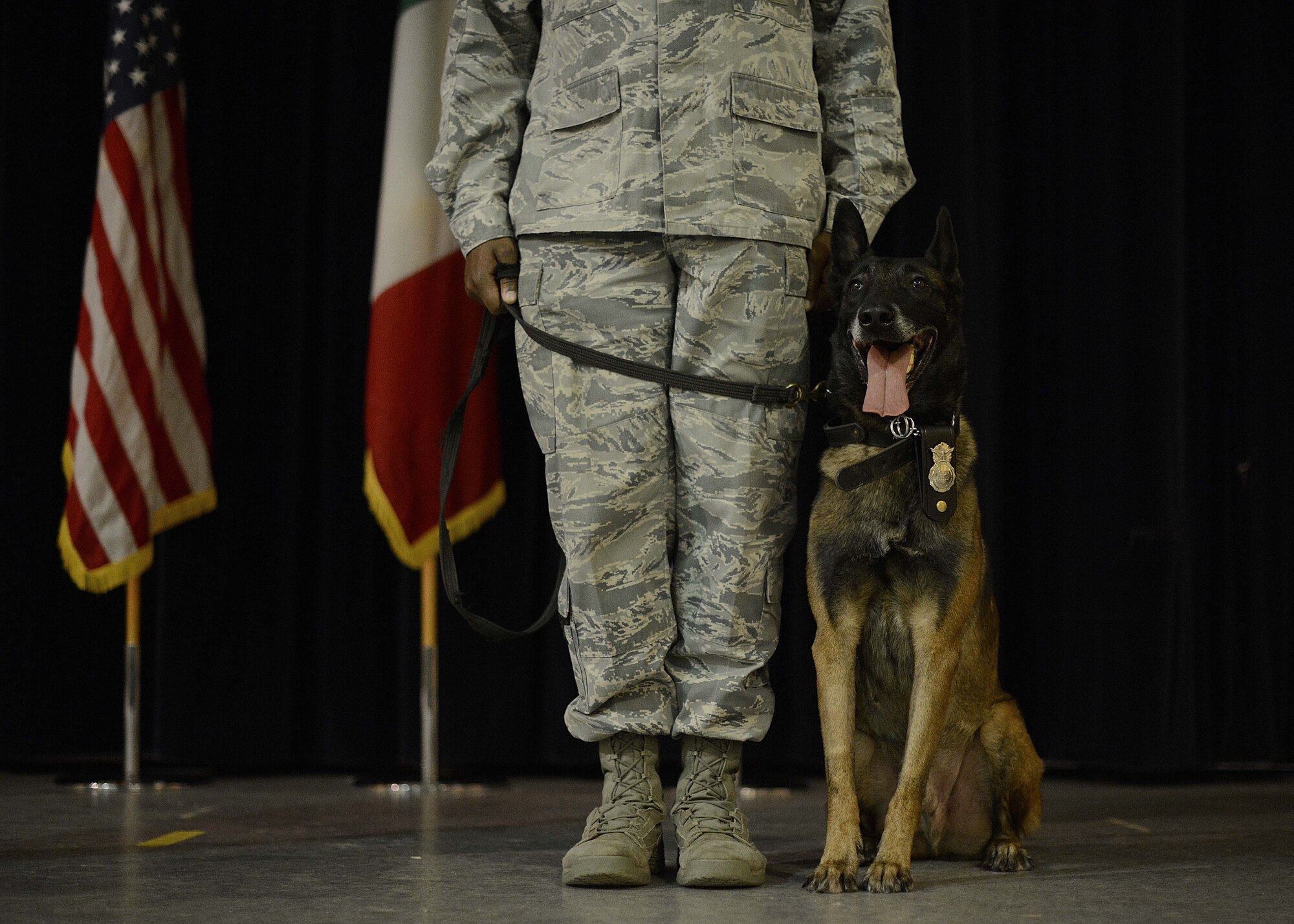 Roki, 31st Security Forces Squadron military working dog sits next to his handler during an MWD retirement ceremony Jan. 22, 2016, at Aviano Air Base, Italy.  Soma, Treesje and Roki retired from service, received a certificate and were adopted into a new family. Department of Defense MWD’s are trained at Lackland Air Force Base in San Antonio, Texas. (U.S. Air Force by Staff Sgt. Evelyn Chavez)