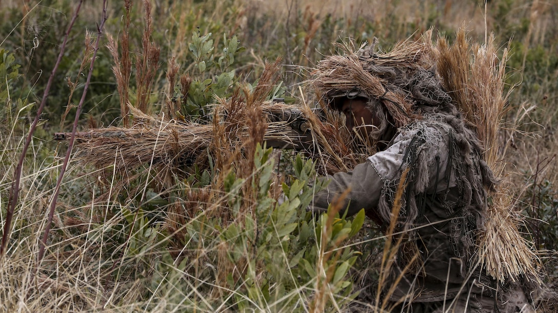 Corporal Brighten Bell, a student undergoing the 2nd Marine Division Combat Skills Center’s Pre-Scout Sniper Course, acquires a target during a stalking exercise at Marine Corps Base Camp Lejeune, North Carolina, Jan. 22, 2016. The exercise required students to traverse approximately 1,000 meters of high grass and fire on a target, all without being detected.