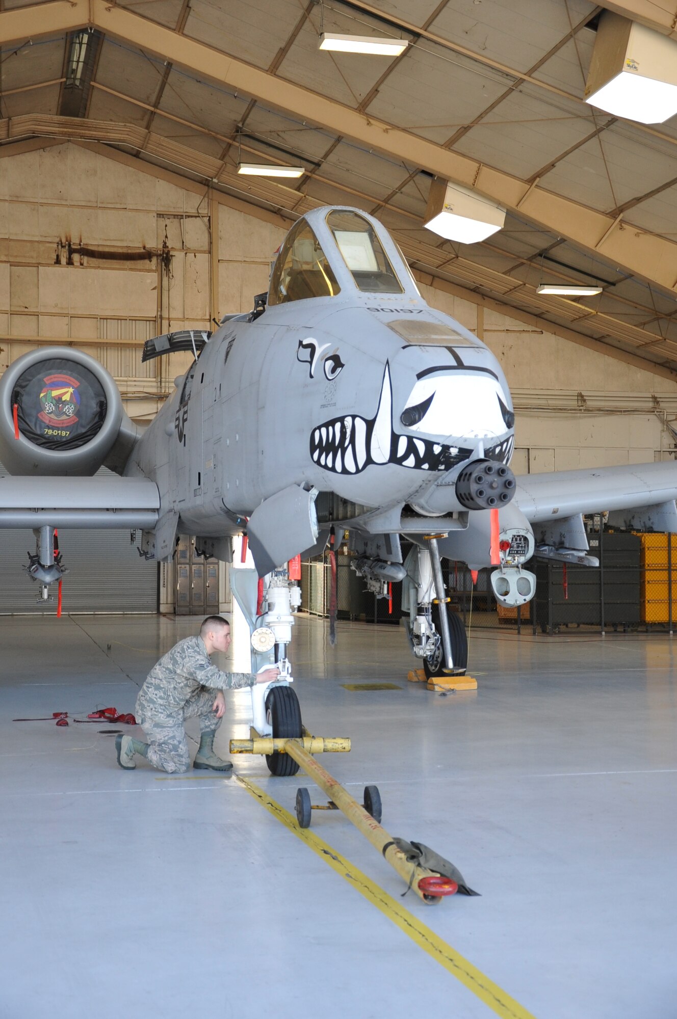 Airman 1st Class Michael Rosenberger, a 924th Maintenance Squadron crew chief, inspects an A-10 Warthog in the hangar at Davis-Monthan Air Force Base, Ariz., Jan. 14. The A-10s here fall under the 924th Fighter Group which is part of the Air Force Reserve Command's 944th Fighter Wing, Luke Air Force Base, Ariz. It is a Total Force Enterprise Classic Associate to the 355th Fighter Wing, conducting A-10C Thunderbolt II qualification
training and maintenance operations. There are 28 aircraft and about 450 personnel assigned to the maintenance squadron, including traditional and full-time reservists. Rosenberger is one of the newest maintainers in the squadron, having enlisted early in 2015. The A-10 Thunderbolt II has excellent maneuverability at low air speeds and altitude, and is a highly accurate and survivable weapons-delivery platform. The aircraft can loiter near battle areas for extended periods of time and operate in low ceiling and visibility conditions. The wide combat radius and short takeoff and landing capability permit operations in and out of locations near front lines. Using night vision goggles, A-10 pilots can conduct their missions during darkness. Because of the specialty maintenance skills the Air Force Reserve afforded Rosenberger by sending him through maintenance technical training, he's been hired locally to work on German-made vehicles at Mini of
Tucson. The first production A-10A was delivered to Davis-Monthan AFB in October 1975, and the 924th Fighter Group was assigned to Davis-Monthan AFB in 2011. (U.S. Air Force photo/Carolyn Herrick) 