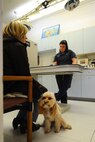 Dr. Erin Hiskett, McConnell Veterinary Clinic veterinarian, updates Sadie’s information during a yearly check-up, Jan. 26, 2015, at McConnell Air Force Base, Kan. The vet clinic provides yearly check-ups for cats and dogs and follows foreign policies that allow families moving overseas to bring their pets with them as stress-free as possible. (U.S. Air Force photo/Airman 1st Class Christopher Thornbury)