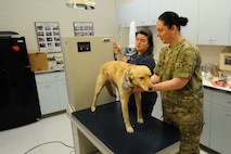 Dr. Erin Hiskett, left, McConnell Veterinary Clinic veterinarian, raises the table while U.S. Army Sgt. Kimberly Wilcox, NCO in charge, braces Nella, the dog, Jan. 26, 2016, at McConnell Air Force Base, Kan. The vet clinic provides yearly check-ups and follows foreign policies allowing families moving overseas to bring their pets with them as stress-free as possible. (U.S. Air Force photo/Airman 1st Class Christopher Thornbury)