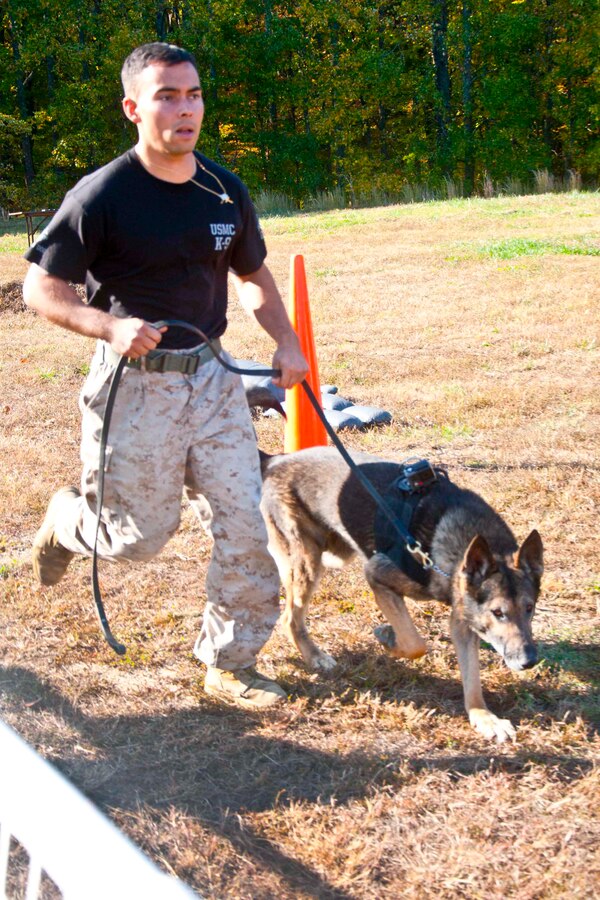 Sgt. Shawn Eden, Quantico Canine Unit, and his working dog Segal participate in an iron dog competition Oct. 23 aboard Marine Corps Base Quantico. Military working dogs and their handlers often collaborate with outside agencies to improve detection training and bite-work training.
