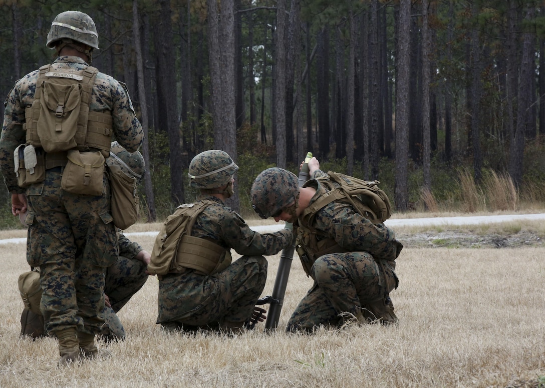 Marines with Fox Company, 2nd Battalion, 8th Marine Regiment, fire an M224 60mm light-weight mortar system during a field exercise at Camp Lejeune, N.C., Jan. 28, 2016. Marines utilized organic company-level weapon systems during the exercise, reinforcing the fundamentals associated with each. (U.S. Marine Corps photo by Cpl. Paul S. Martinez/Released)