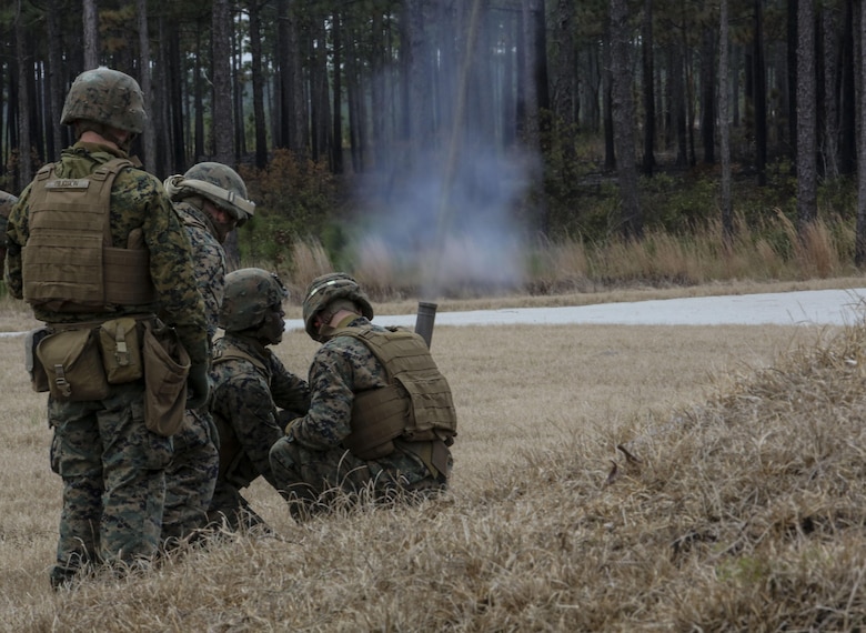 Marines with Fox Company, 2nd Battalion, 8th Marine Regiment, fire an M224 60mm light-weight mortar system during a field exercise at Camp Lejeune, N.C., Jan. 28, 2016. Marines utilized organic company-level weapon systems during the exercise, reinforcing the fundamentals associated with each. (U.S. Marine Corps photo by Cpl. Paul S. Martinez/Released)