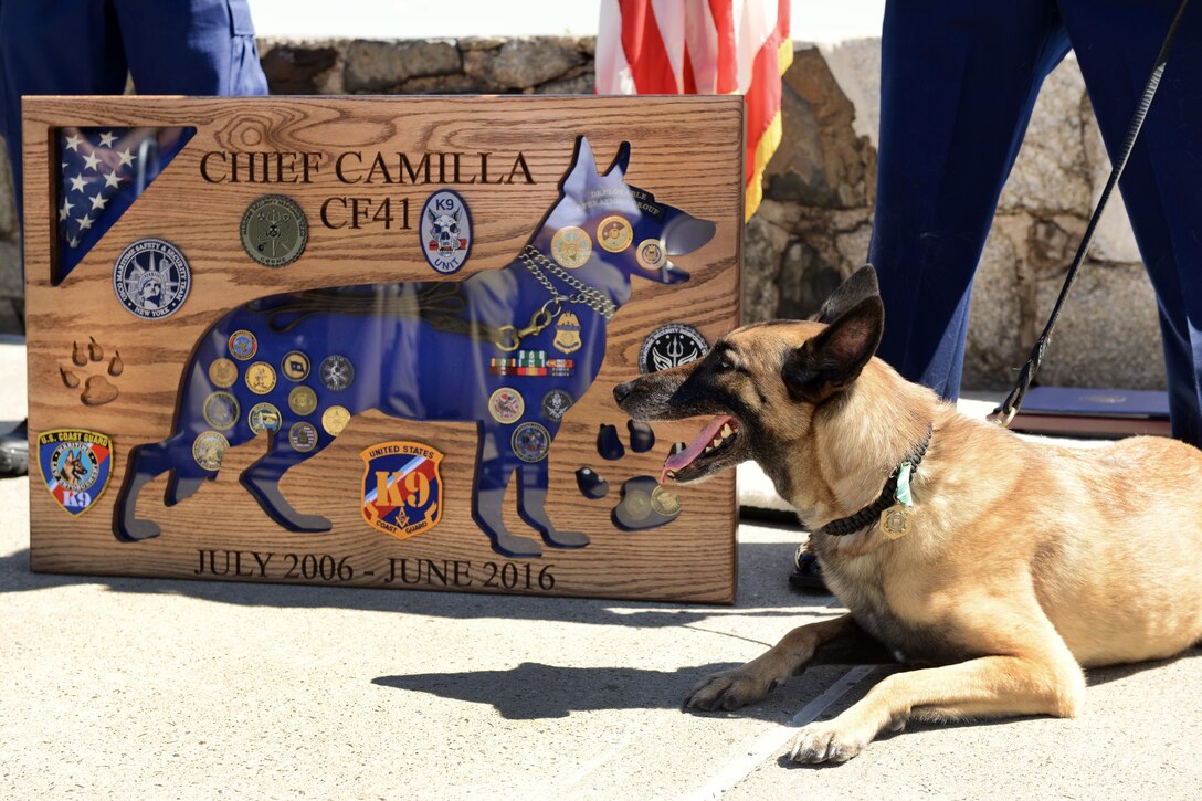 Chief Camilla, a Coast Guard K-9 service dog trained to detect explosives, retires after 10 years during a ceremony with Coast Guard members in Staten Island, New York, June 30, 2016. Chief Camilla's handler was Petty Officer 1st Class Nicholas Heinen. The Coast Guardsmen are assigned to the Maritime Safety and Security Team New York. Coast Guard photo by Petty Officer 2nd Class Sabrina Laberdesque.

